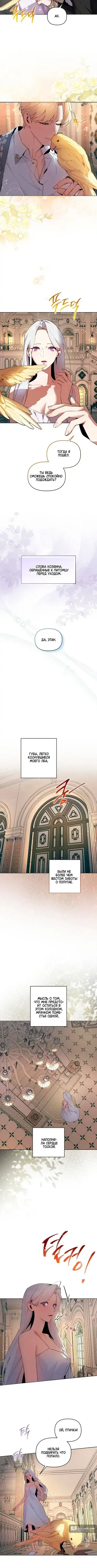 Page 1.001
