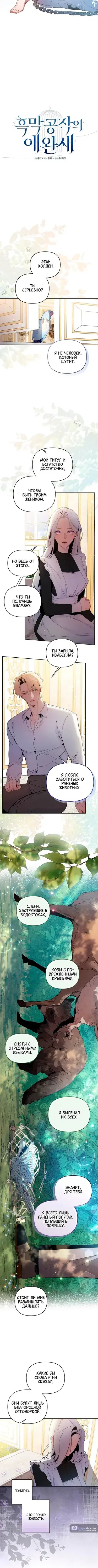 Page 3.001