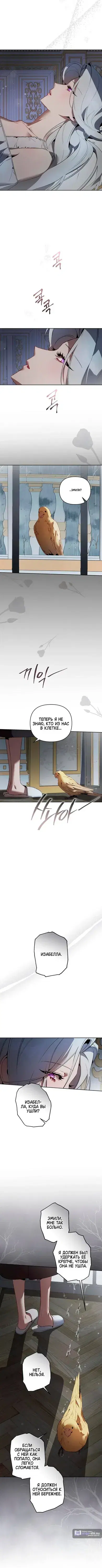 Page 5.001