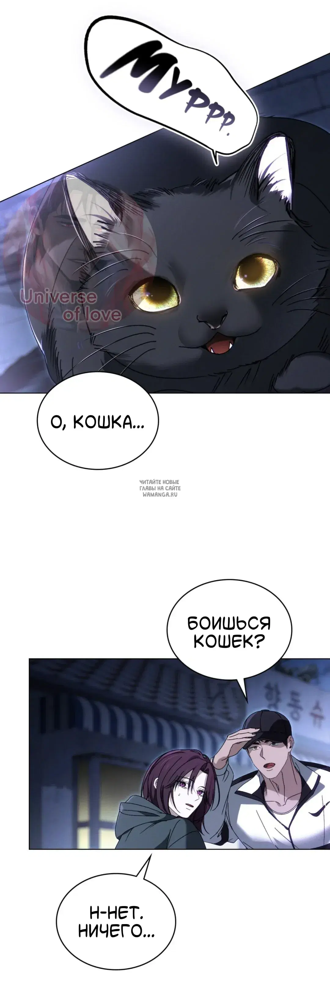 Page 41.000