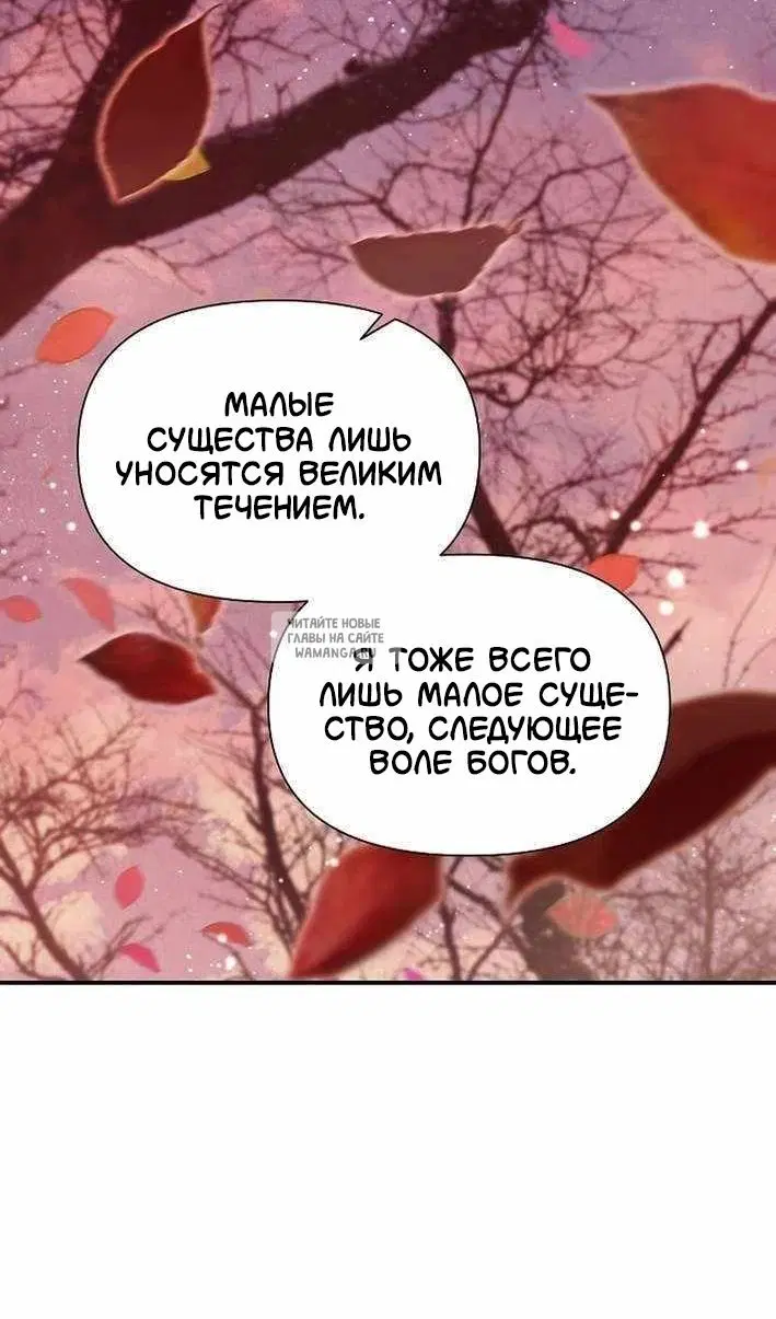 Page 55.000