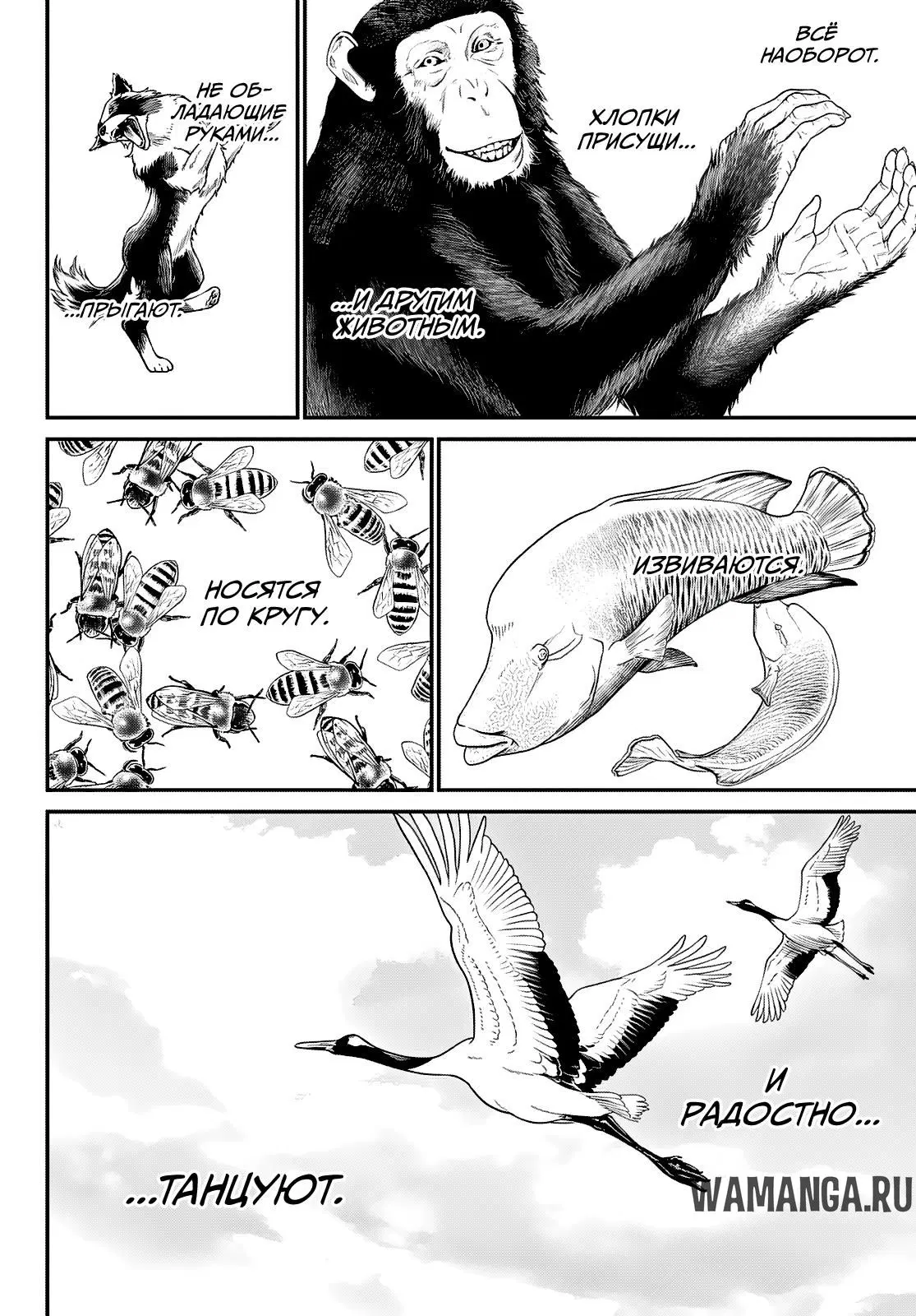 Page 17.000
