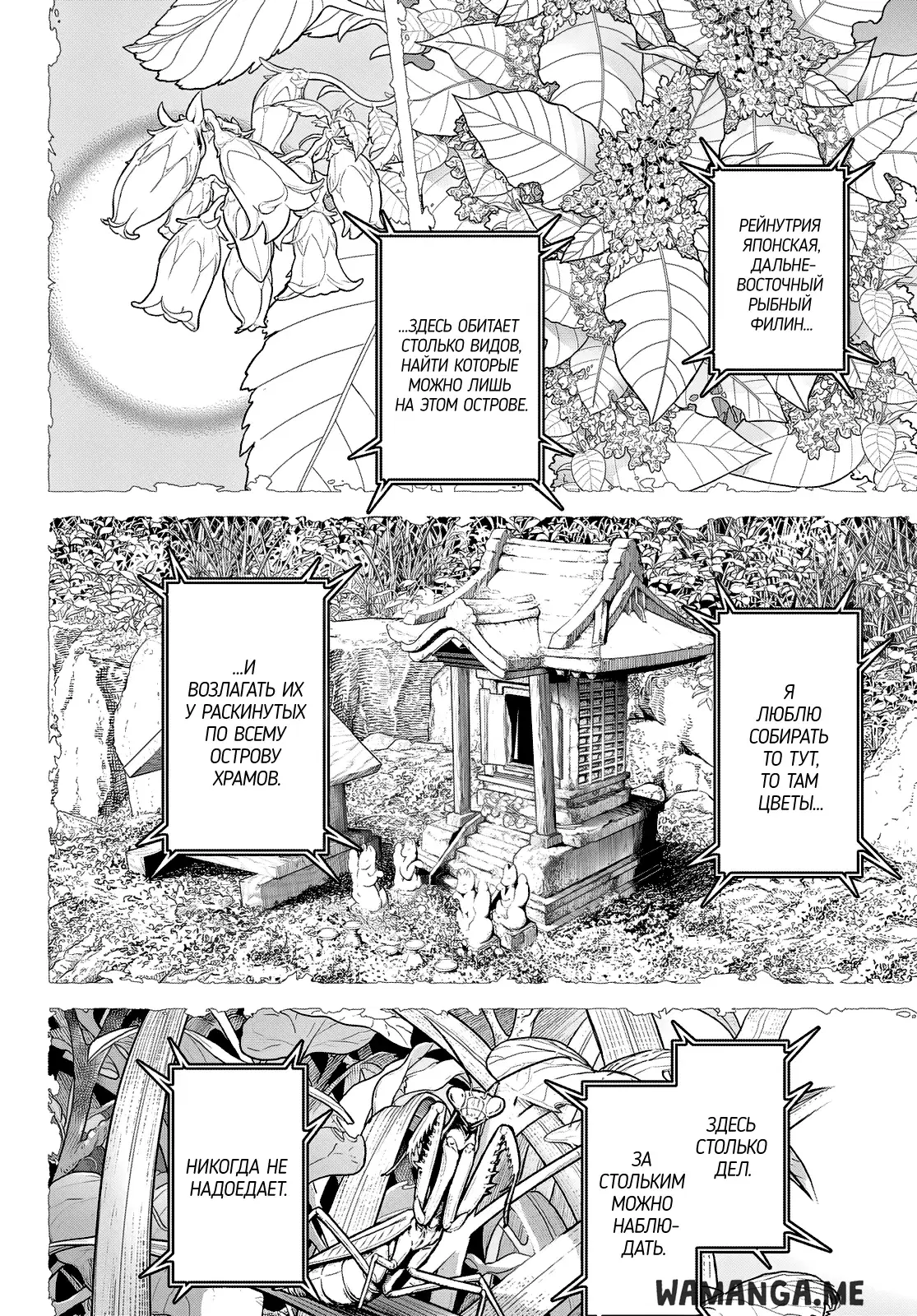 Page 10.000