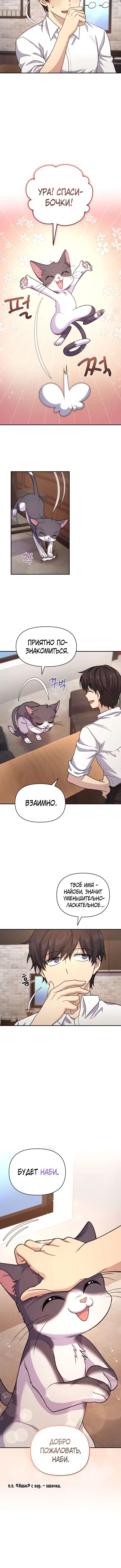 Page 5.001