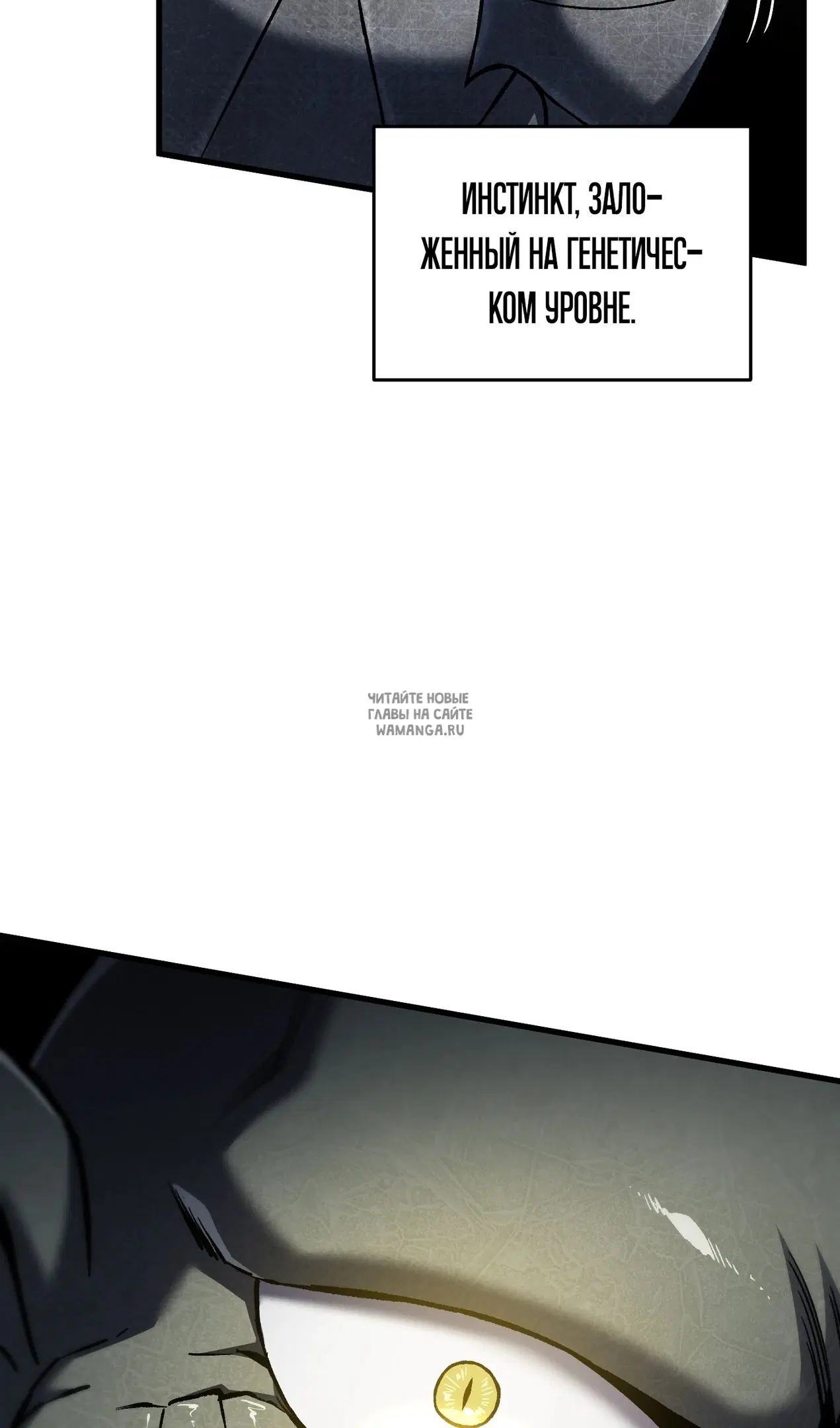 Page 82.000