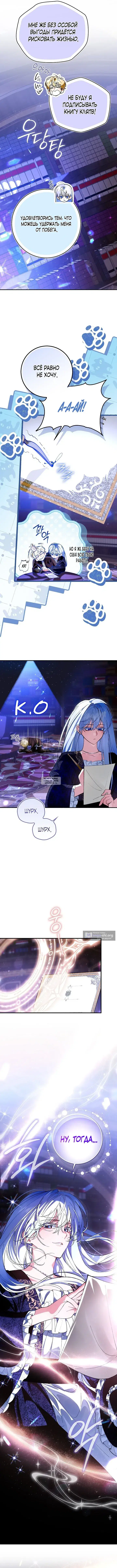 Page 8.000