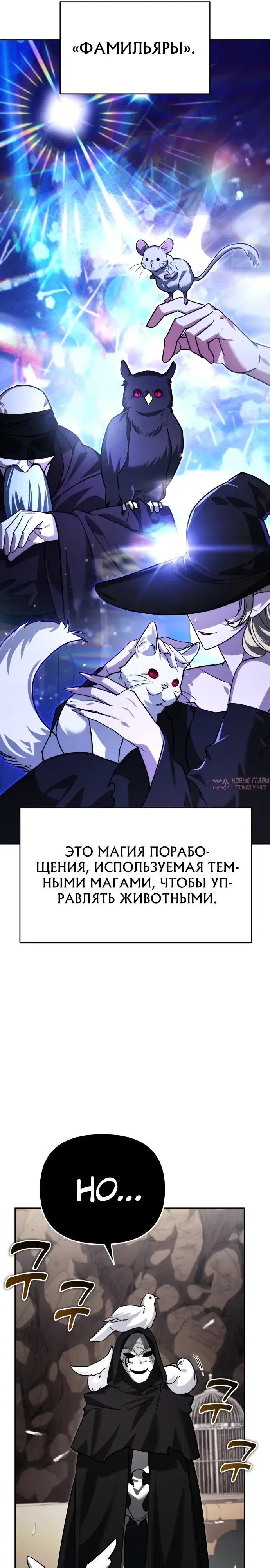 «Мои альтер эго получили огромное влияние», глава 12, страница 6.000000000