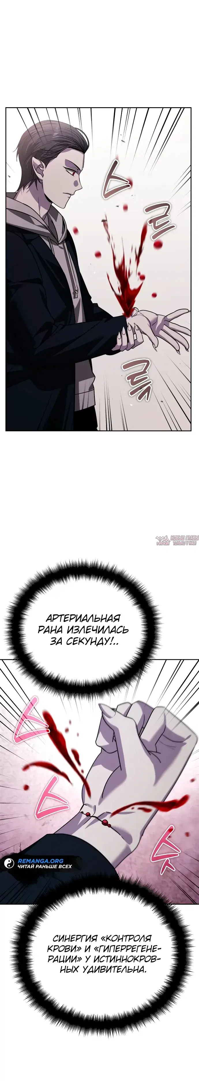 «Мои альтер эго получили огромное влияние», глава 19, страница 14.000000000