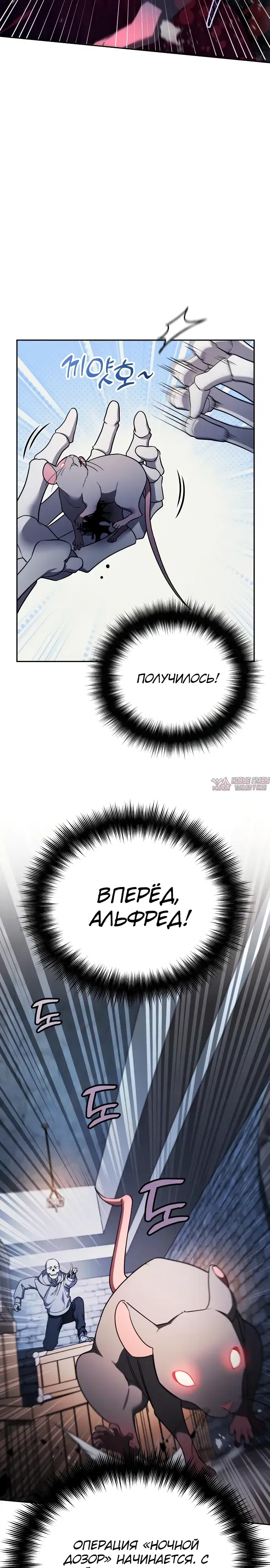 «Мои альтер эго получили огромное влияние», глава 3, страница 21.000000000