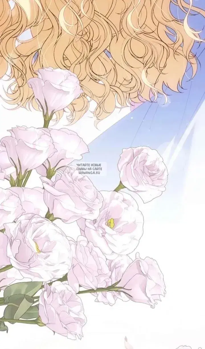 Page 113.000