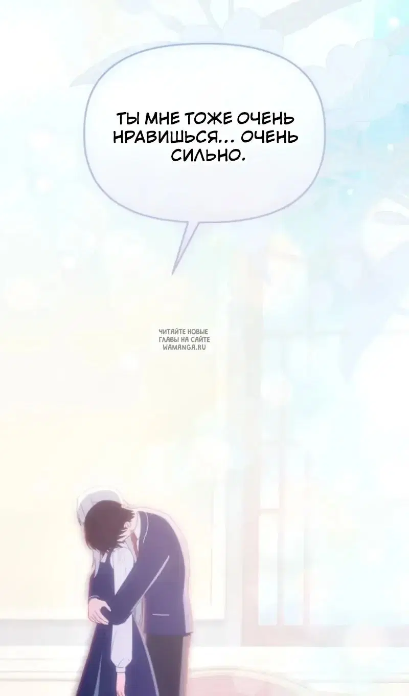 Page 113.000