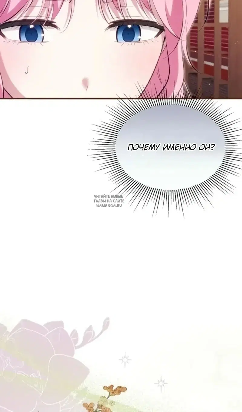 Page 113.000