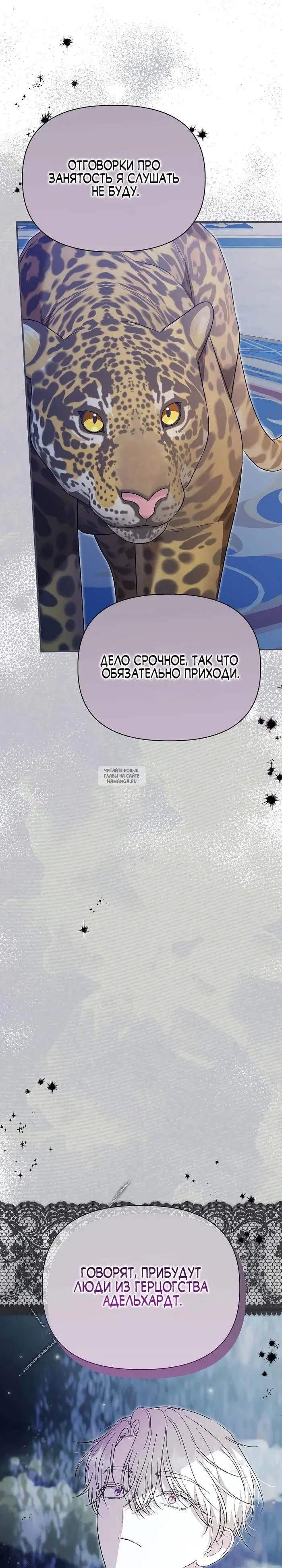 Page 40.000