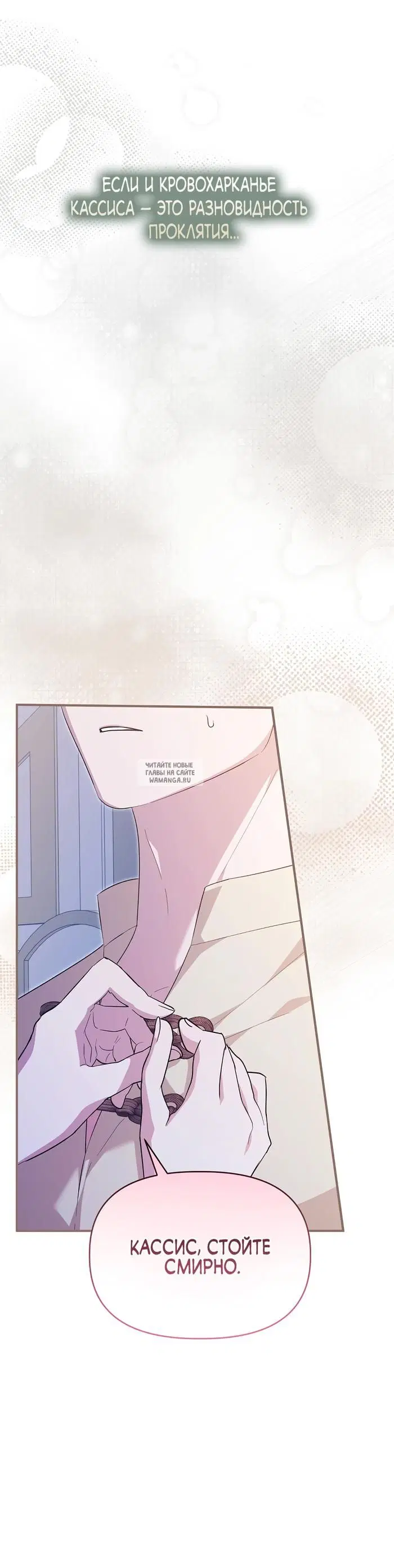 Page 51.000