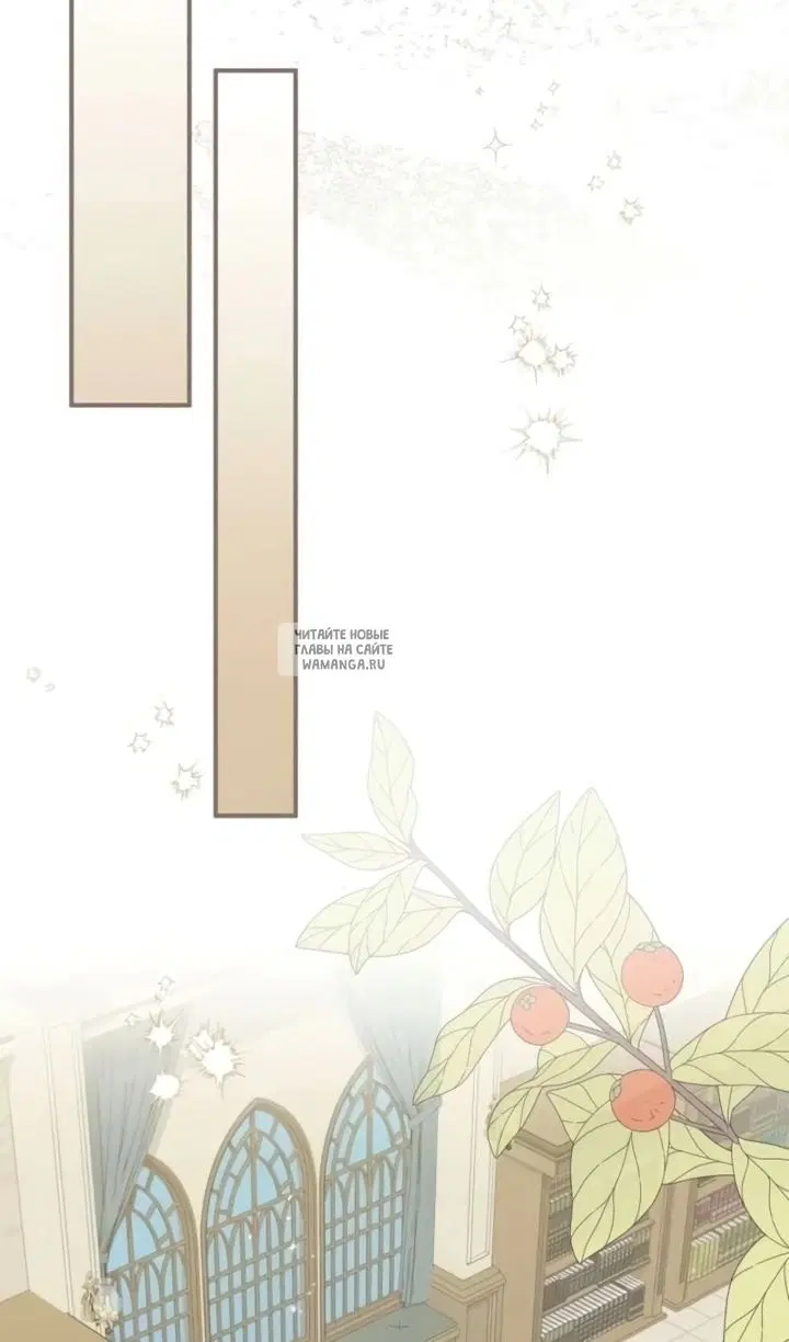 Page 53.000