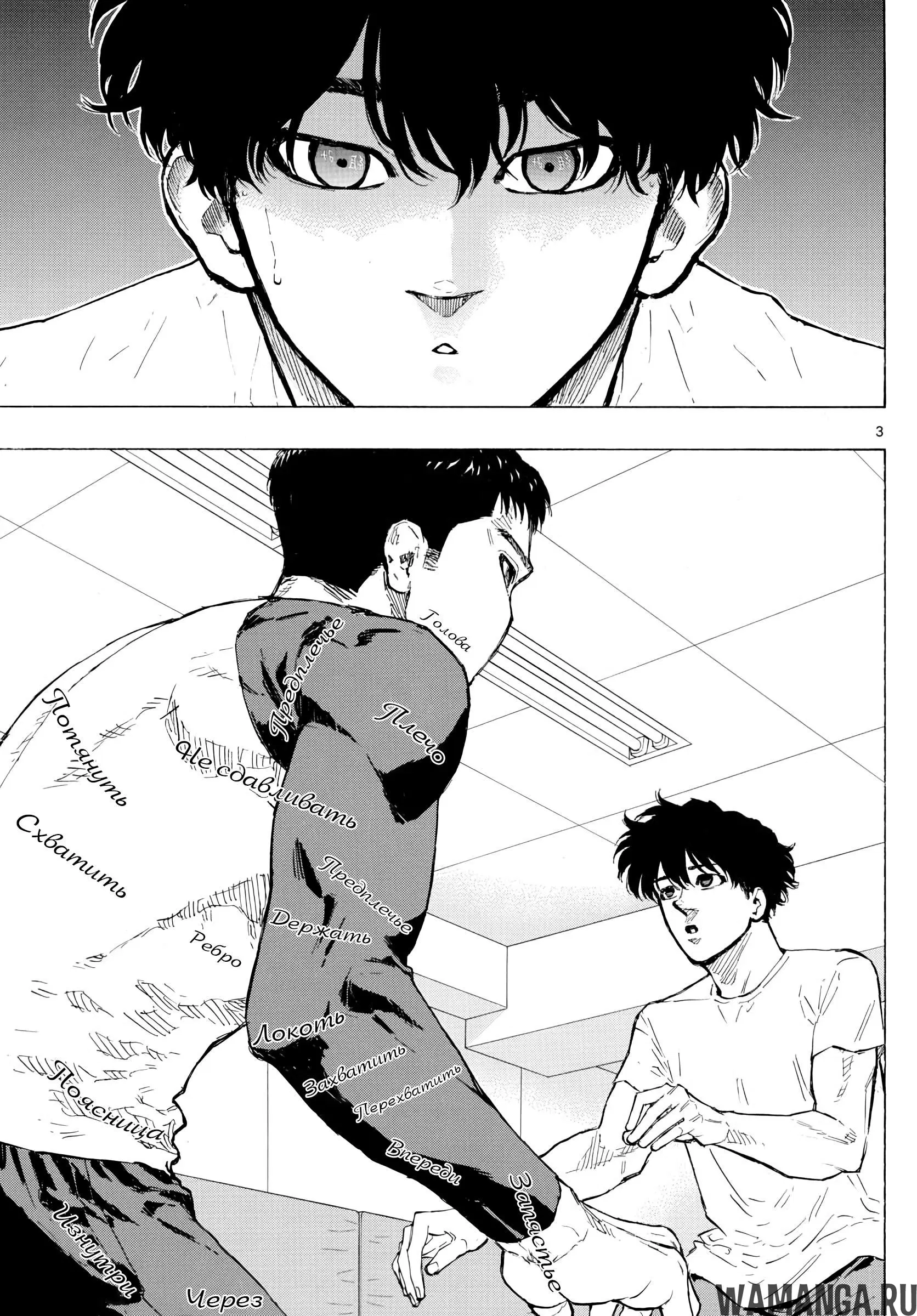 Page 3.000