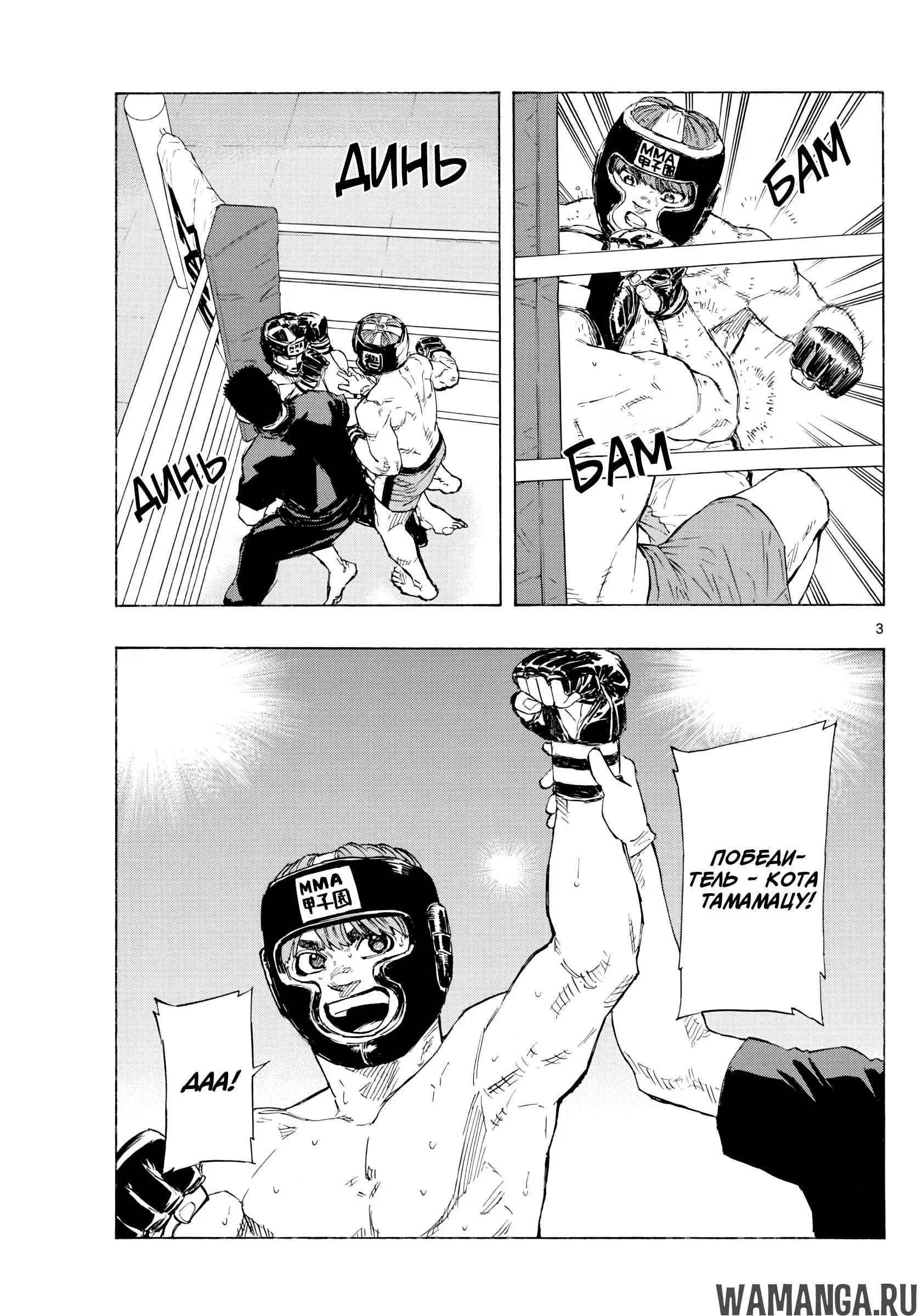Page 3.000