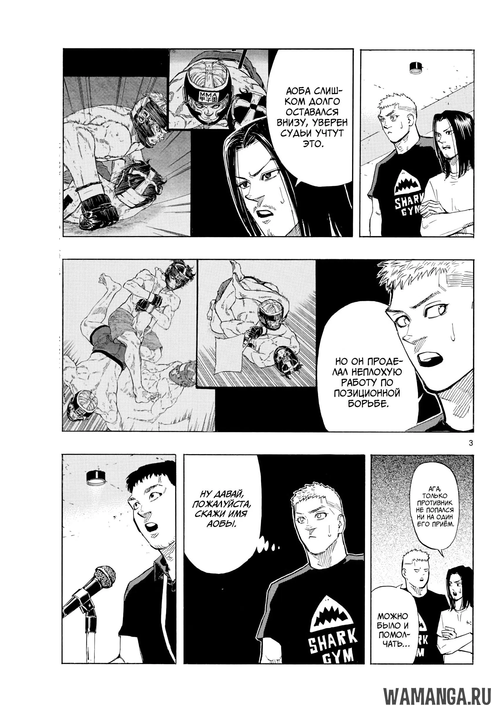 Page 3.000