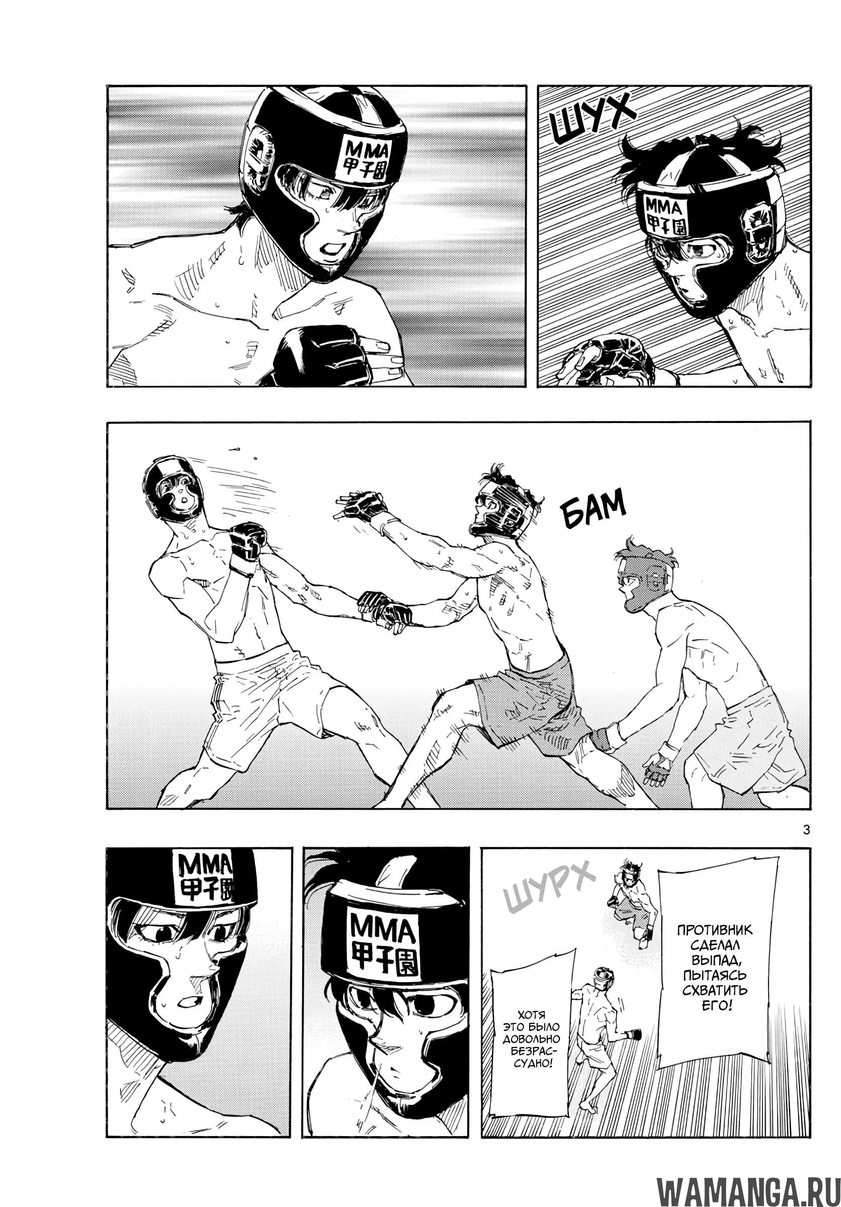 Page 3.000