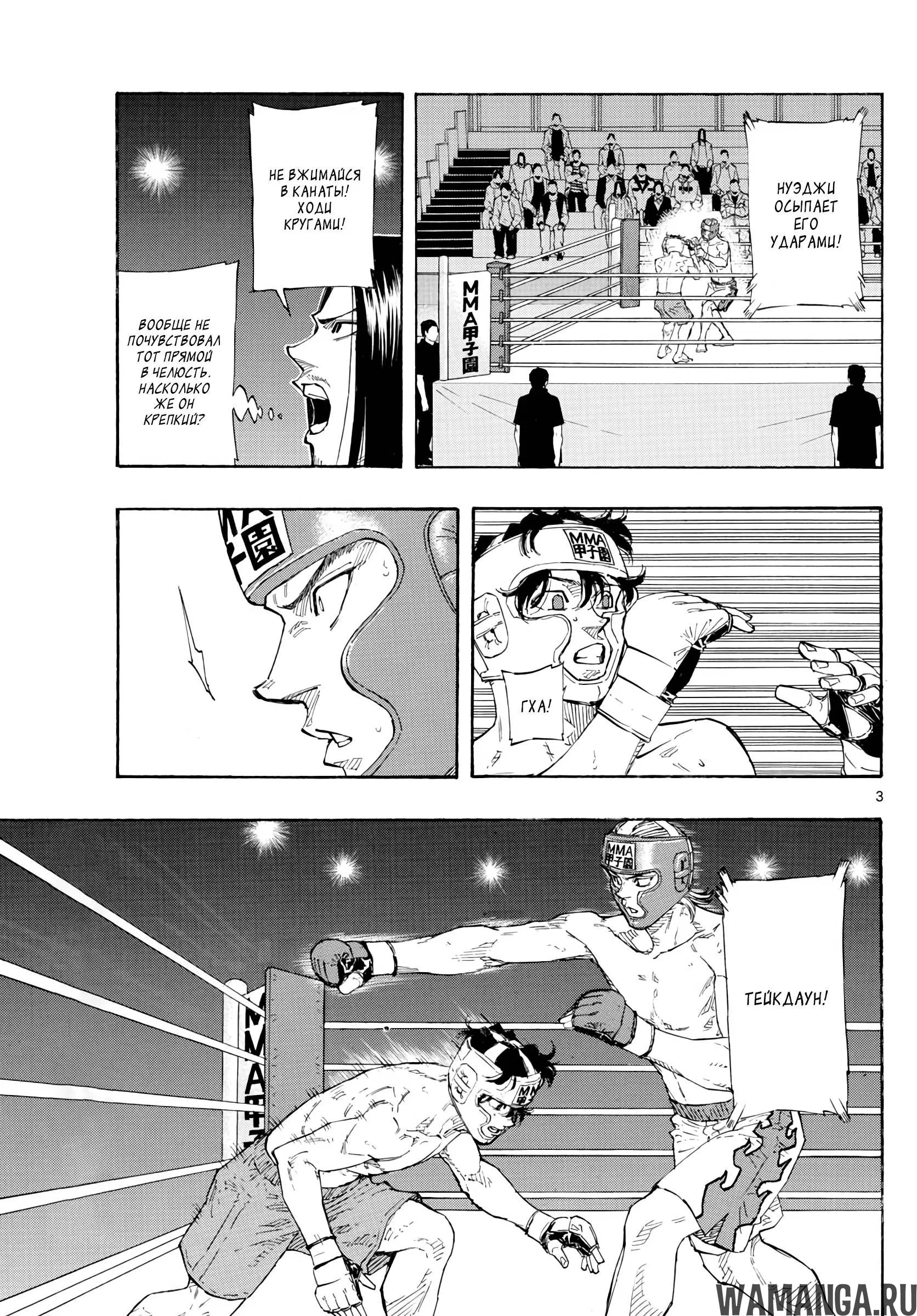 Page 3.000
