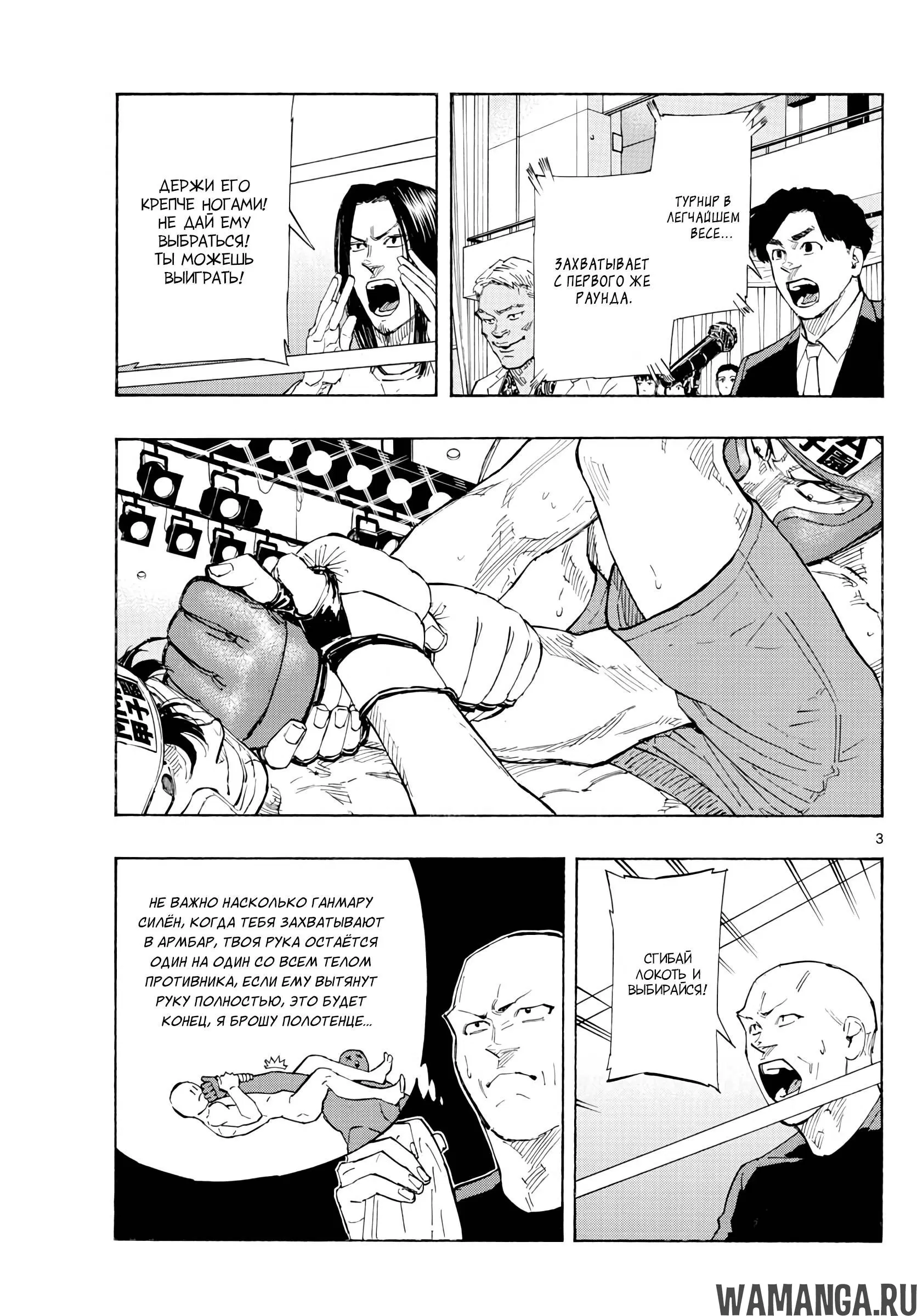 Page 3.000