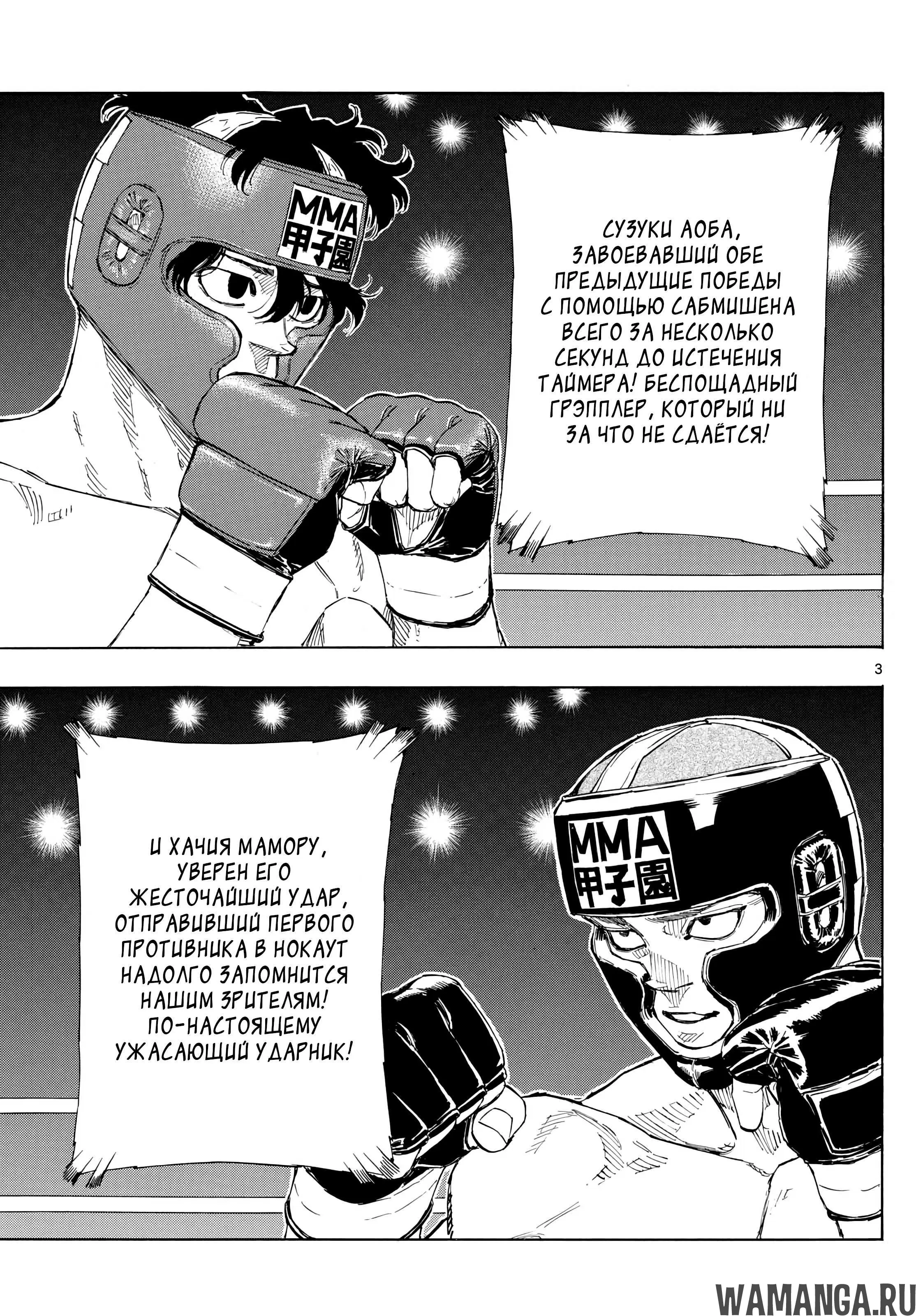 Page 3.000
