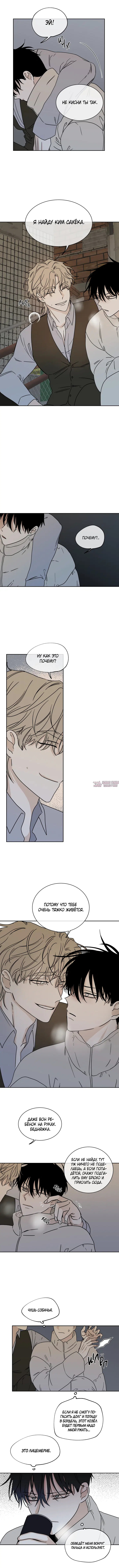 «Ночь у берега», глава 20, страница 6.000000000