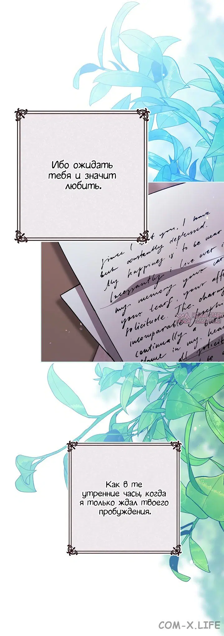Page 3.000