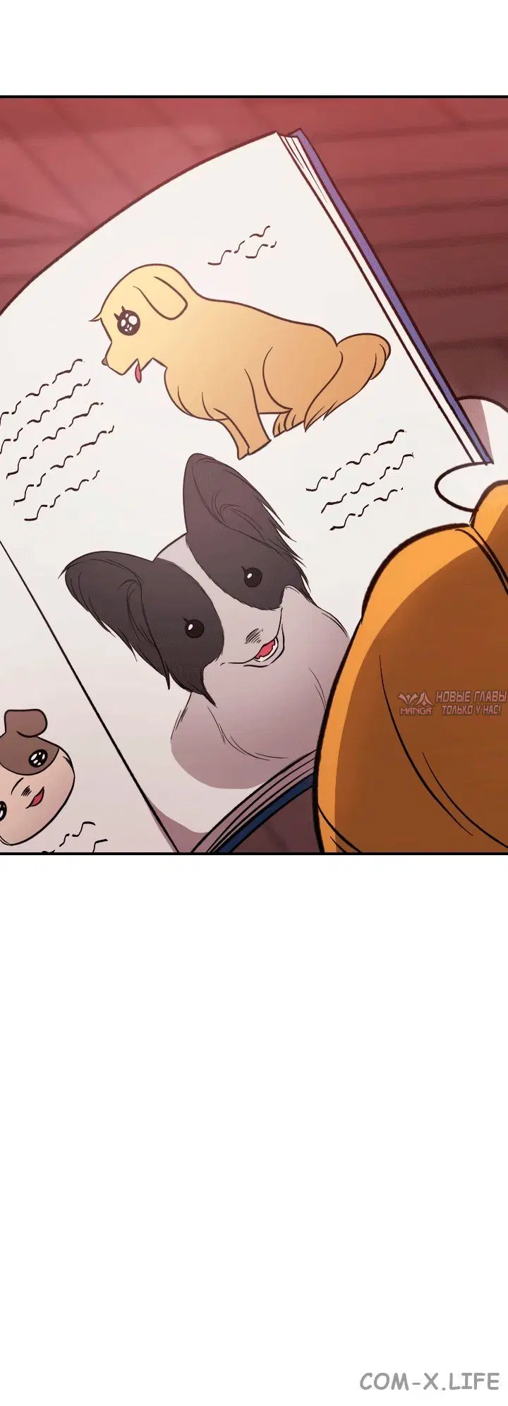 Page 8.000