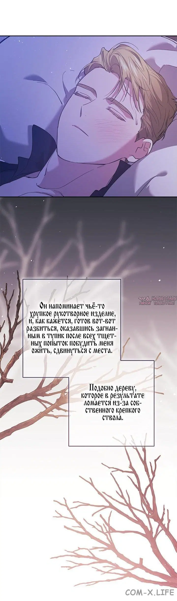 Page 15.000