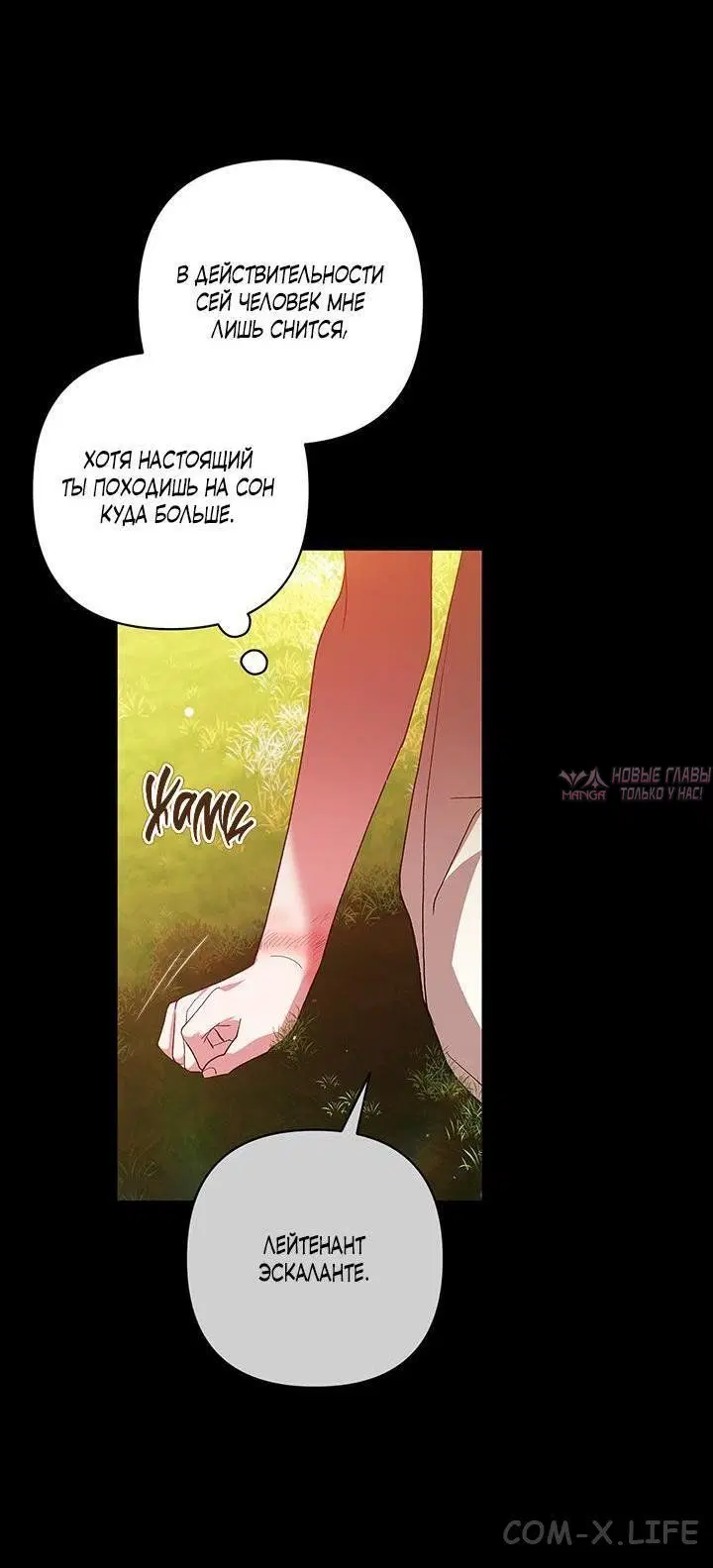 Page 31.000
