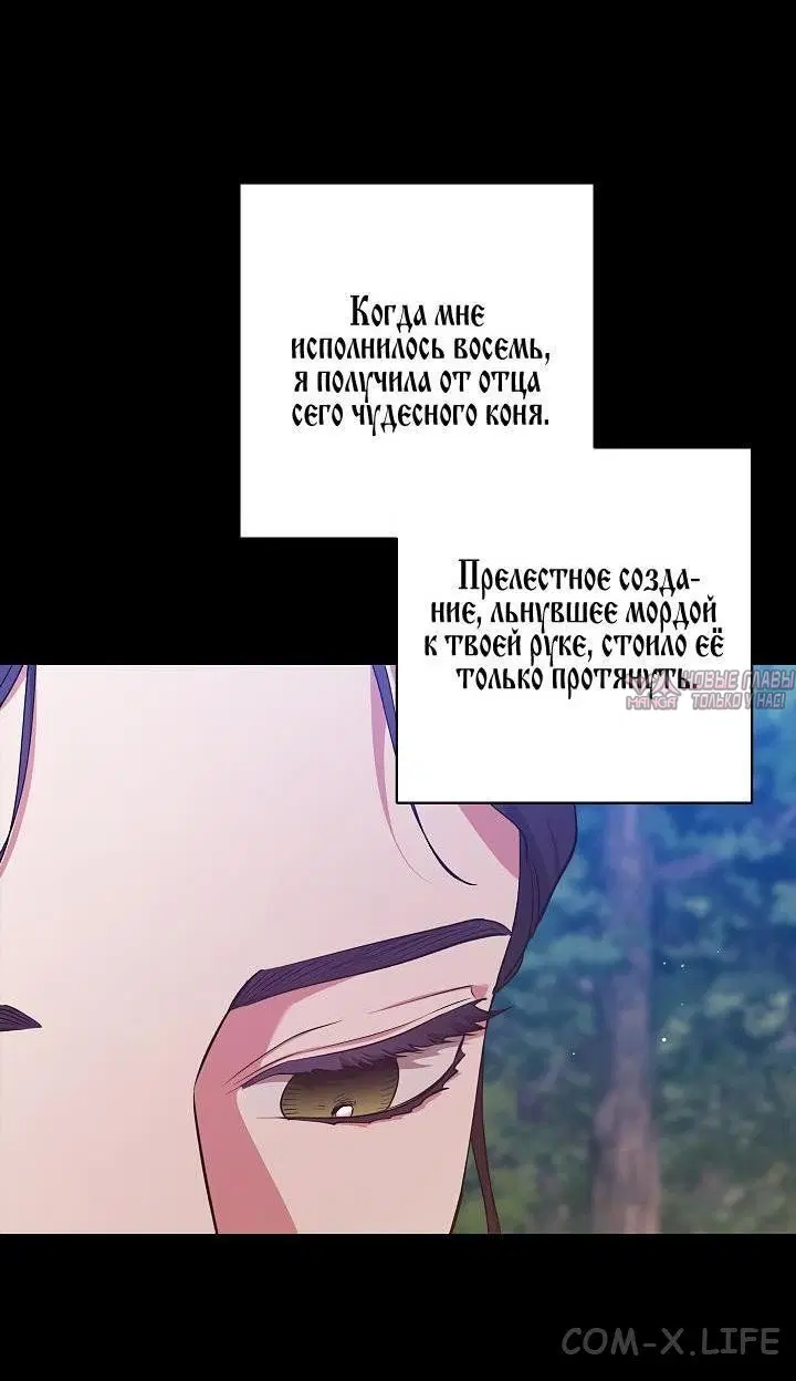 Page 41.000