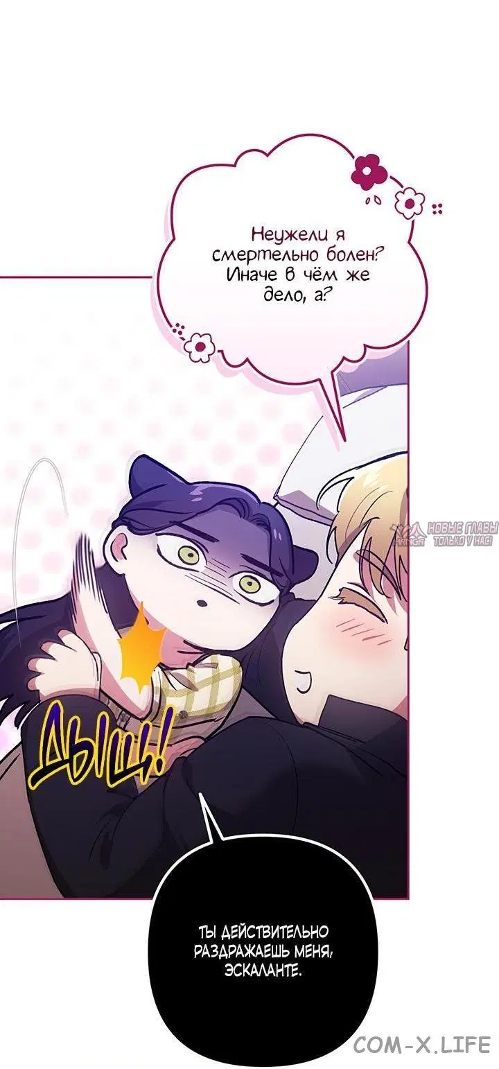 Page 42.000