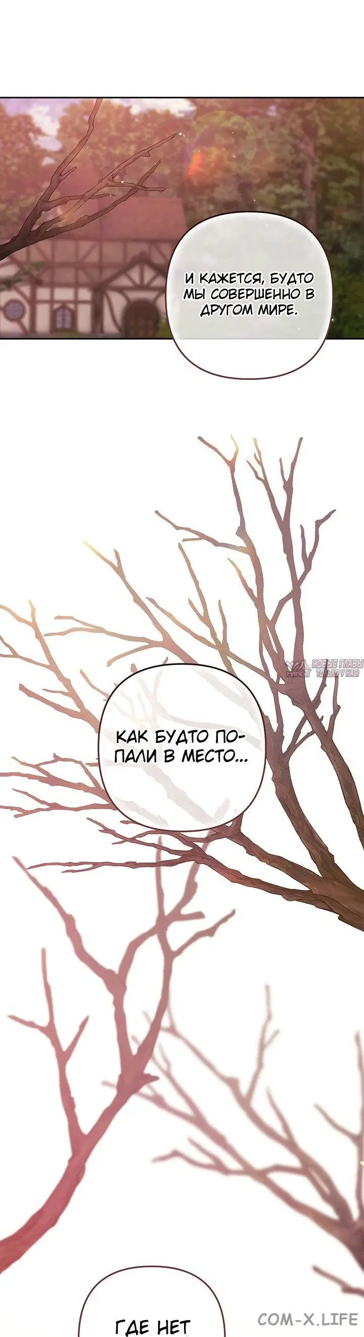 Page 46.000