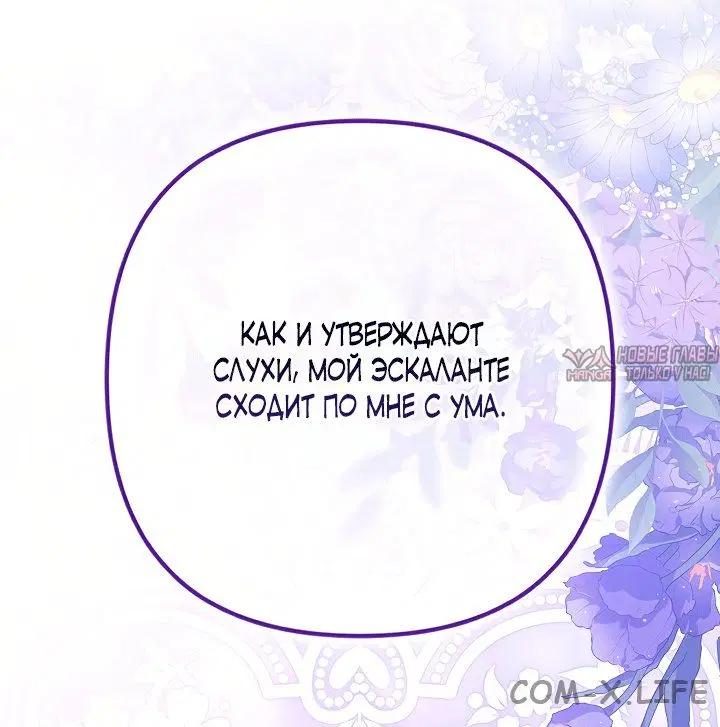 Page 49.000