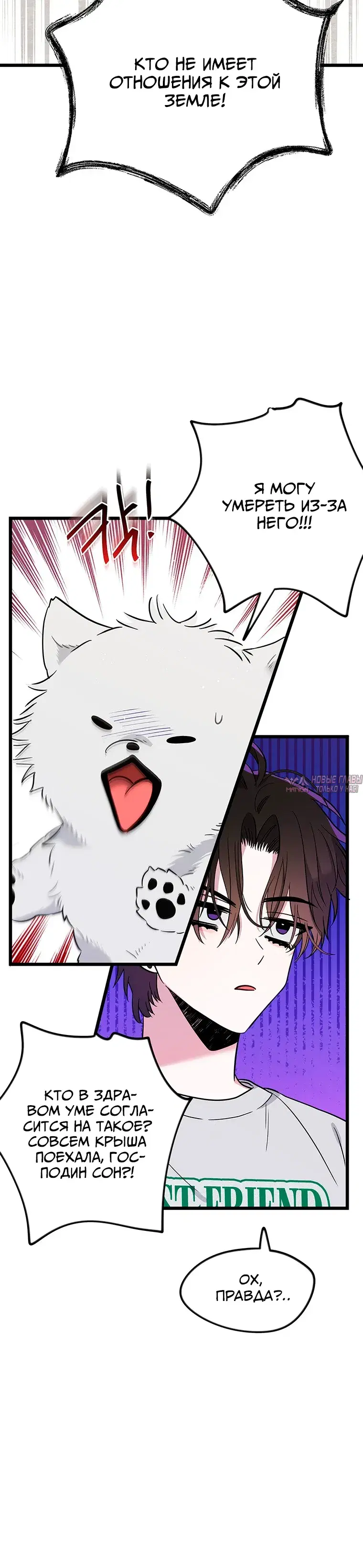 Page 5.000000000
