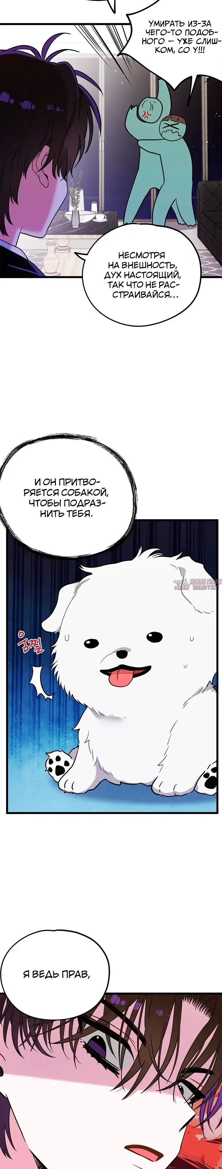 Page 11.000000000