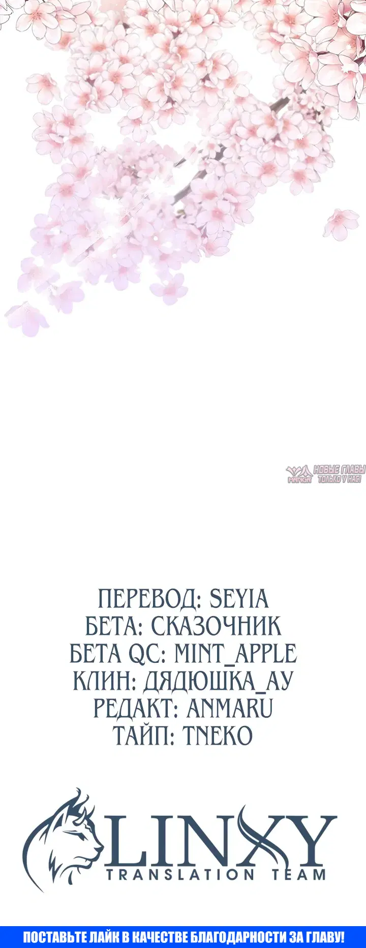 Page 31.000000000