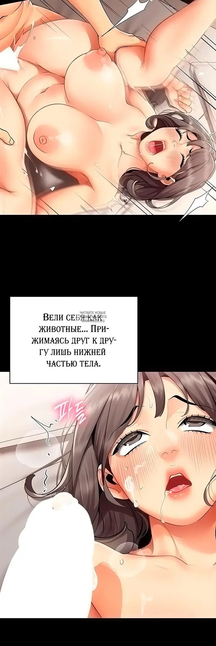 Page 13.000