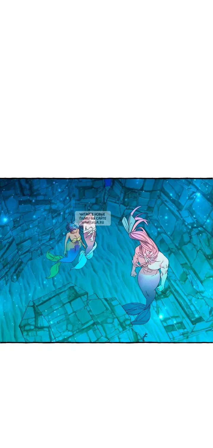 Page 36.000