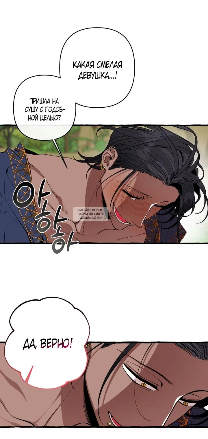 Page 31.000
