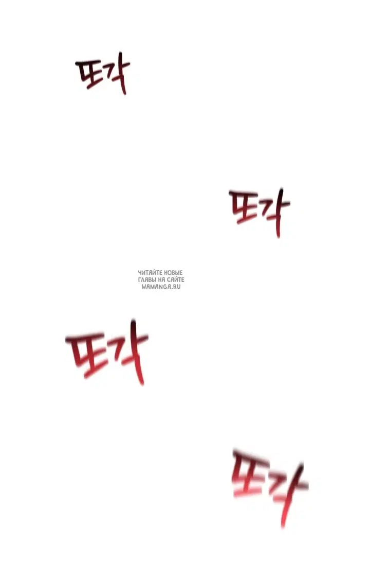 Page 41.000
