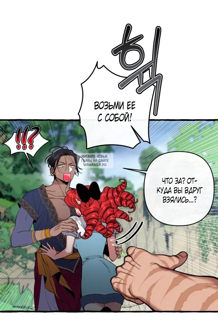 Page 50.000