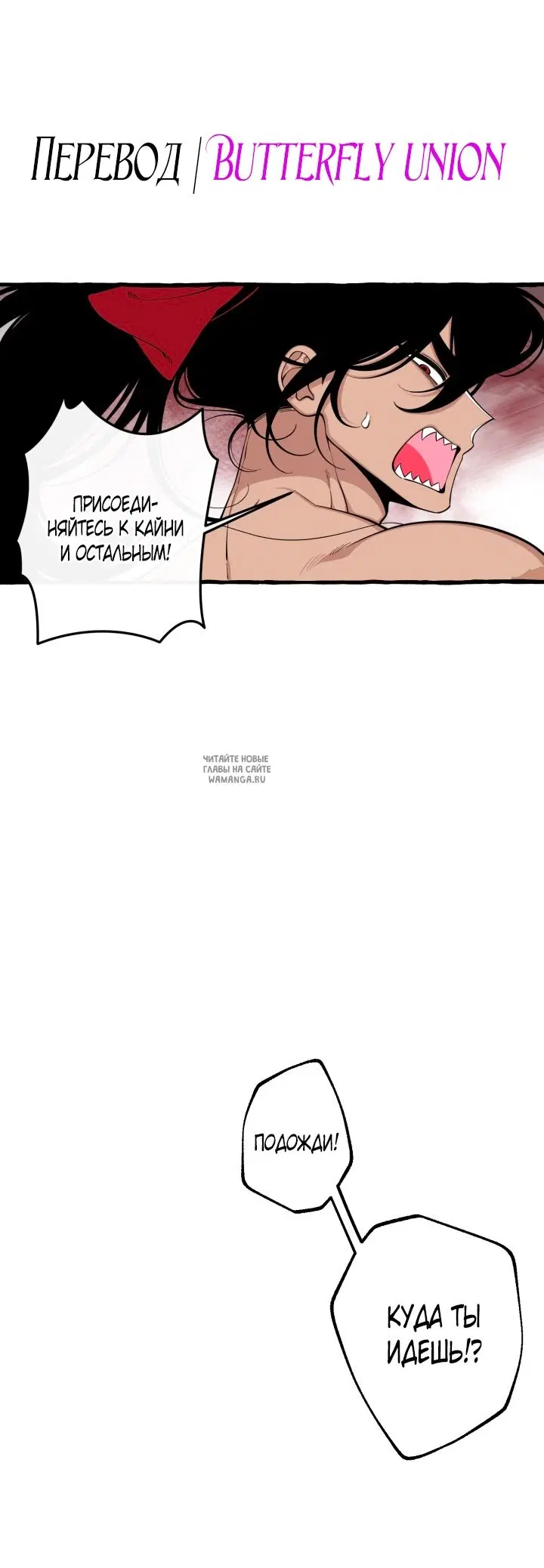 Page 51.000