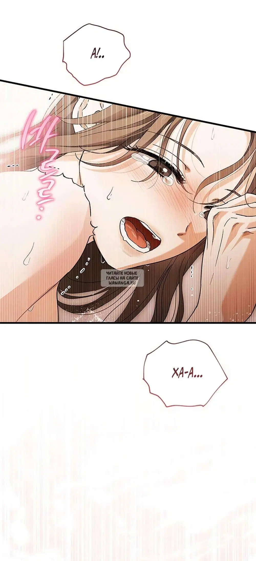 Page 33.000