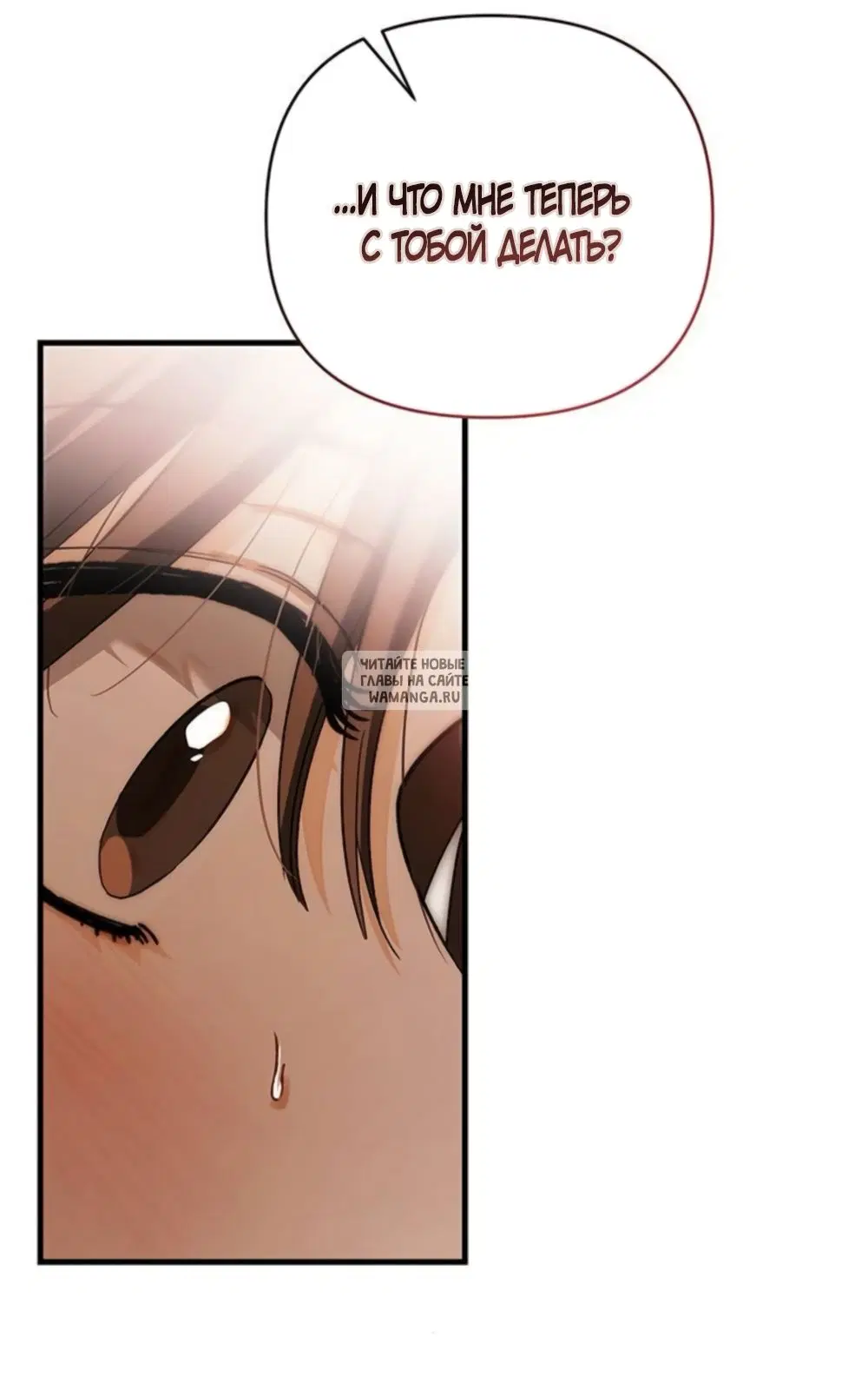 Page 53.000