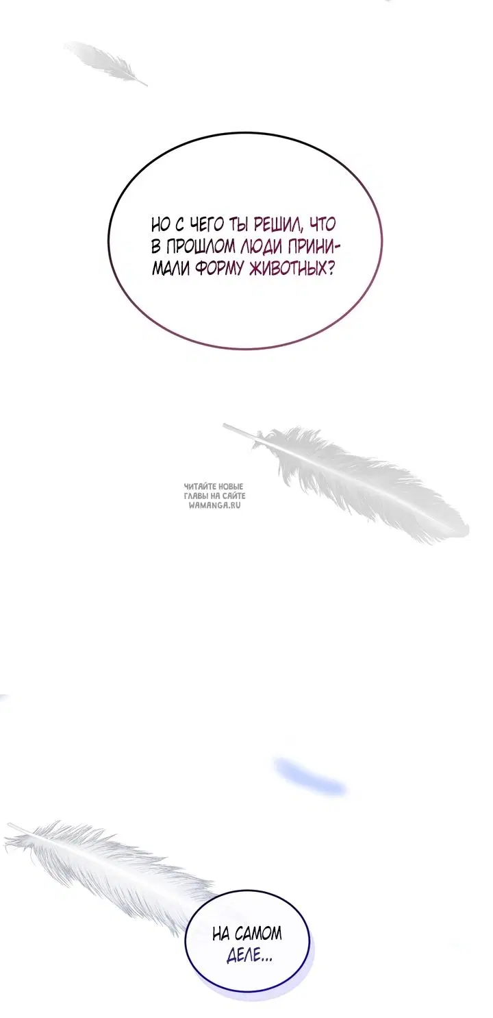 Page 20.000
