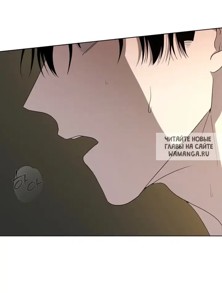 Page 41.000