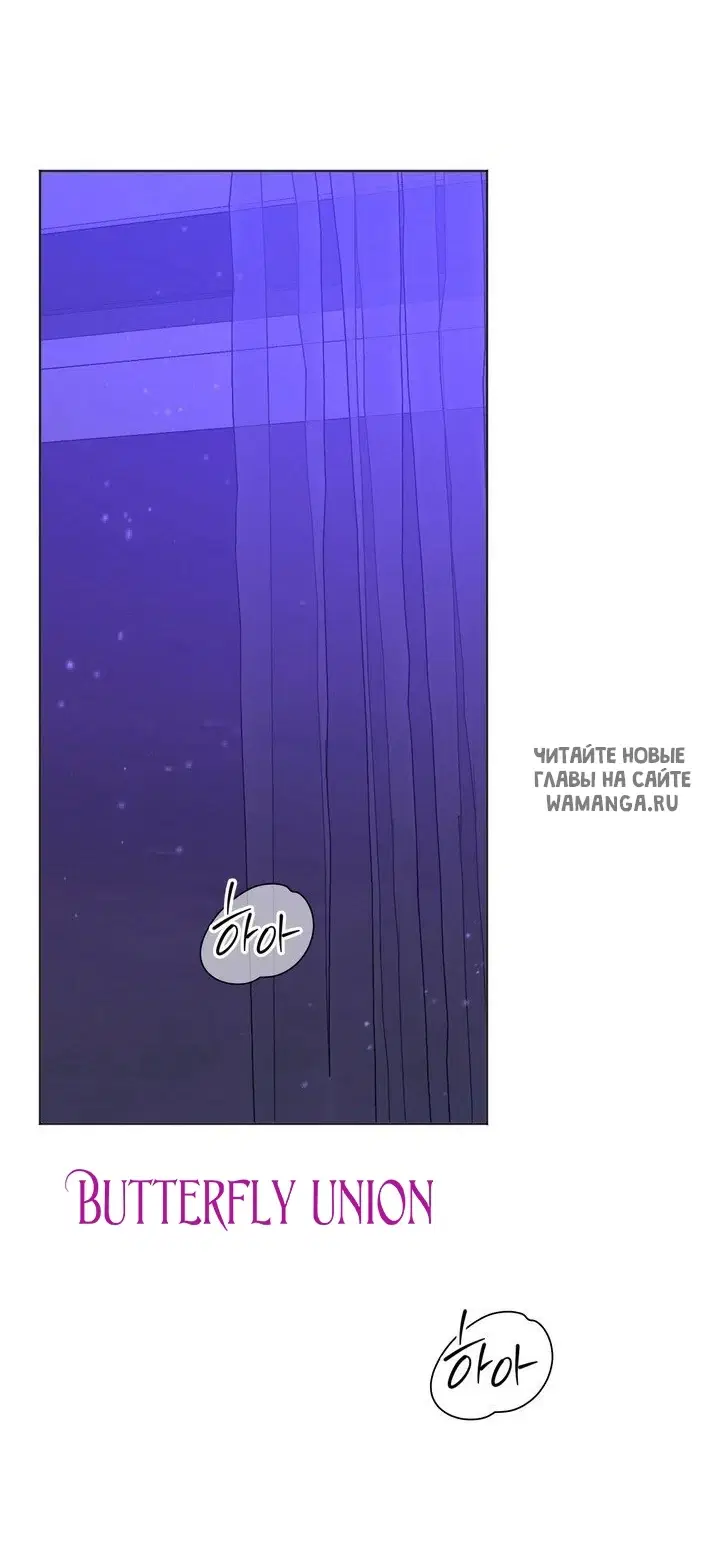Page 54.000