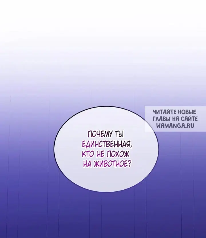 Page 53.000
